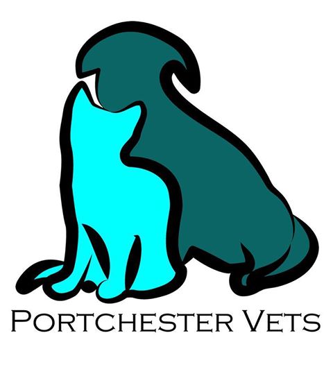 Acorn Veterinary Surgery - Fareham , United Kingdom