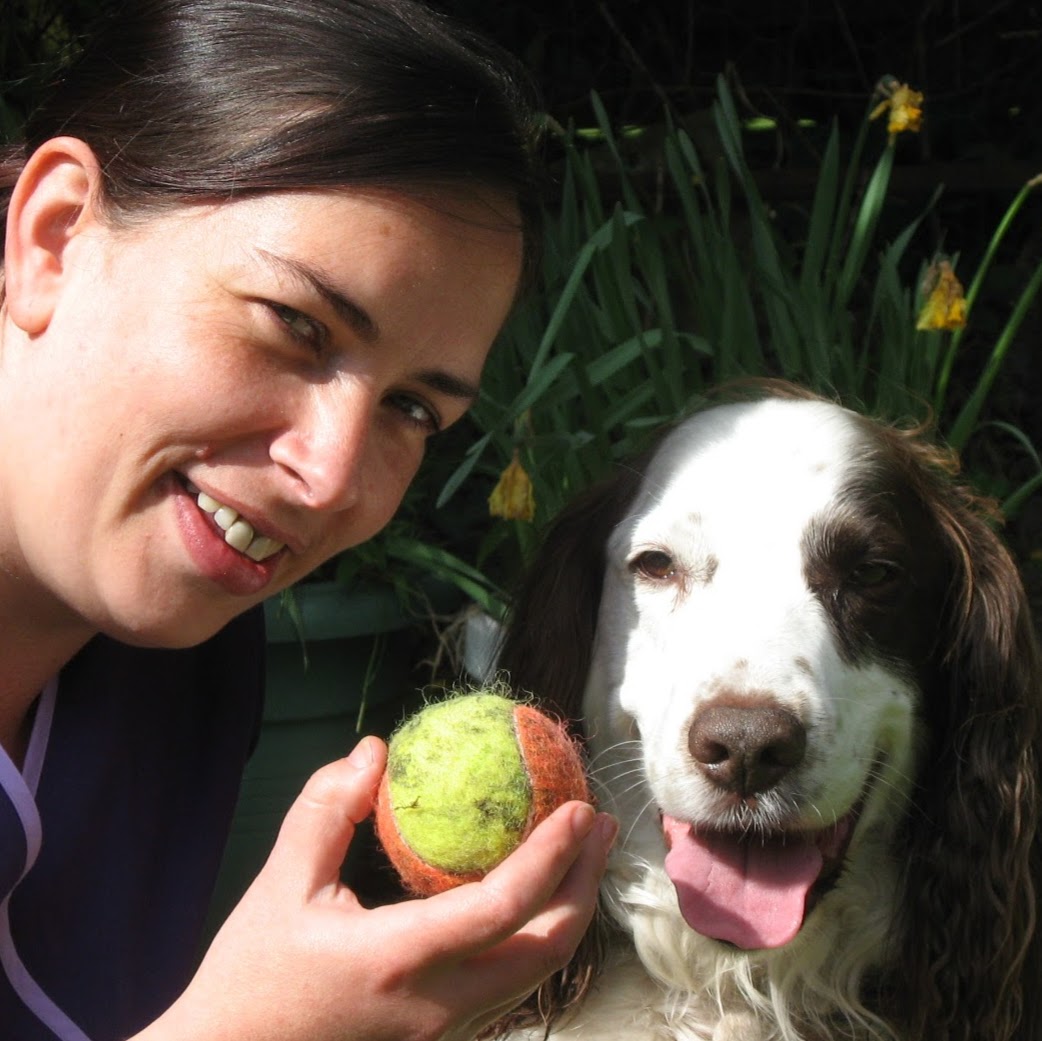 Ashley Veterinary Centre - Glasgow , United Kingdom