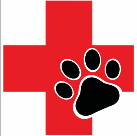 Wasatch Animal Clinic - Heber City , United States