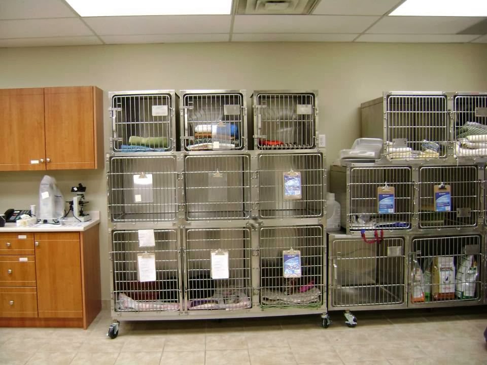 Mcleod Road Animal Clinic - Niagara Falls , Canada