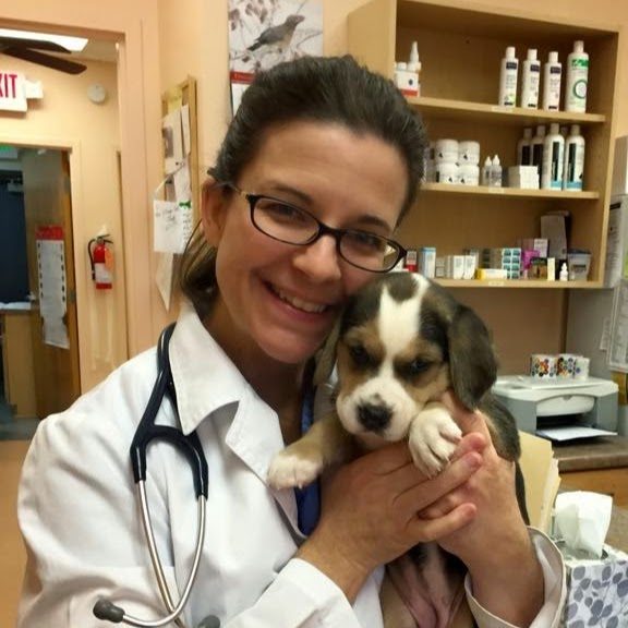 Village Veterinary Hospital - Chapel Hill , United States