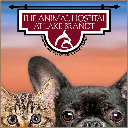 The Animal Hospital At Lake Brandt - Summerfield , United States