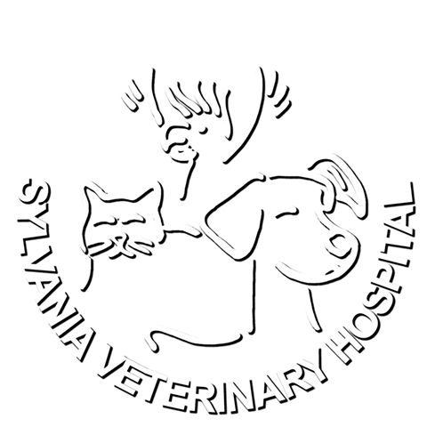 Sylvania Veterinary Hospital - Sylvania , Australia