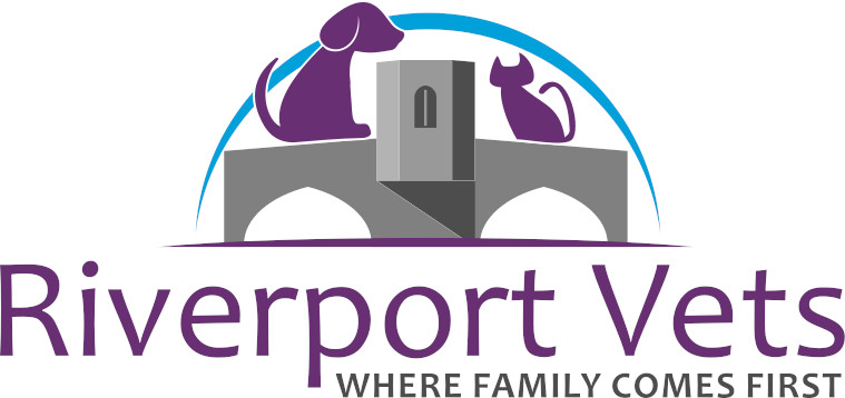 Riverport Vets - St IVes , United Kingdom