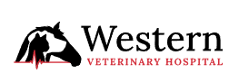 Western Veterinary Hospital - San Angelo , United States