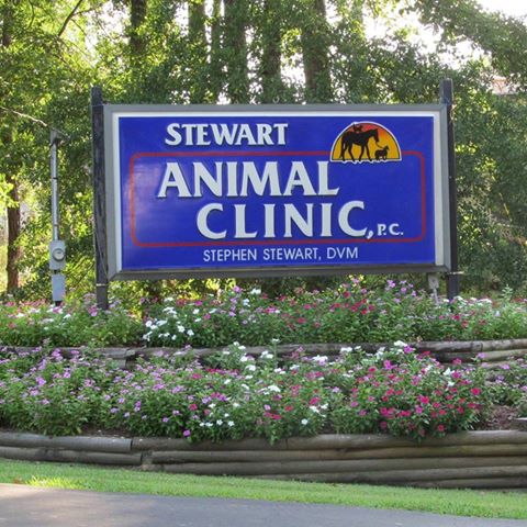 Stewart Animal Clinic - Warrior , United States