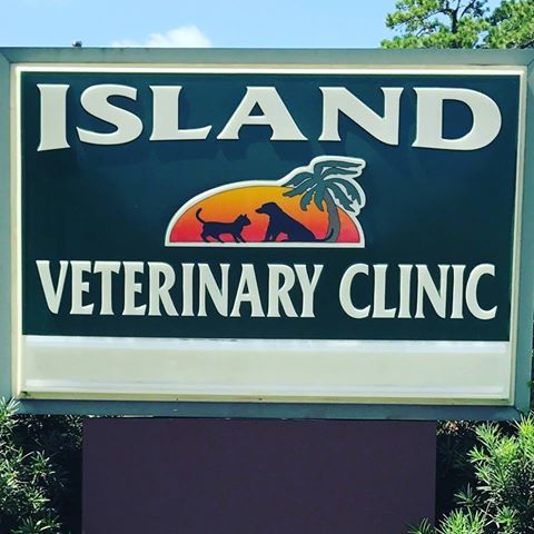 Island Veterinary Clinic - Savannah , United States