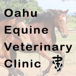 Oahu Equine Veterinary Clinic - Kailua , United States
