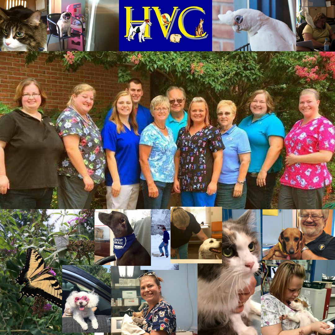 Highland Veterinary Clinic - Evansville , United States