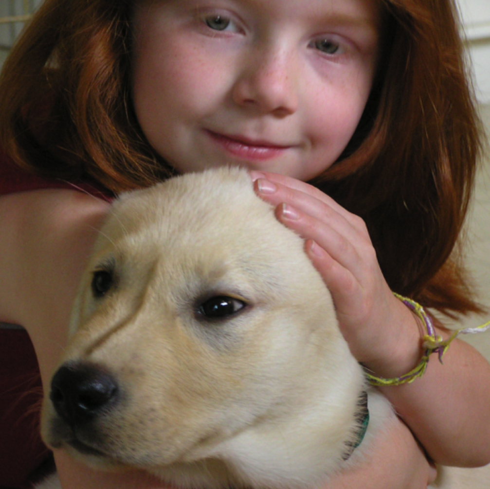 Vca Blue Cross Animal Hospital Of Amherst - Amherst , United States