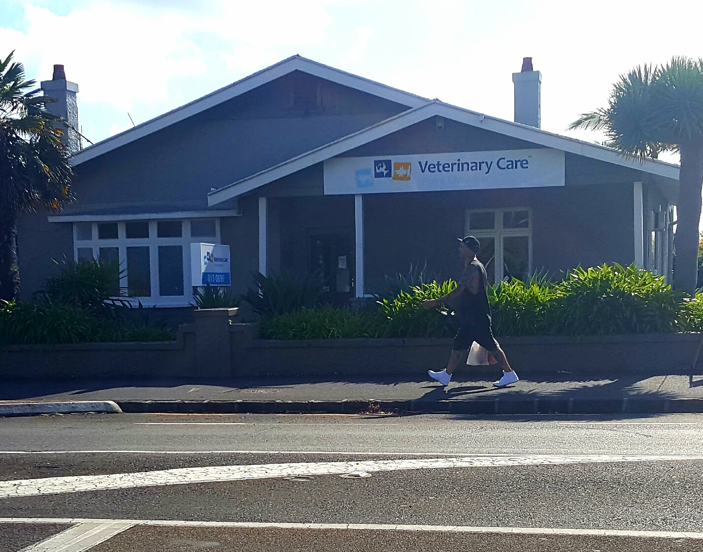 Point Chevalier Veterinary Clinic - Point Chevalier , New Zealand