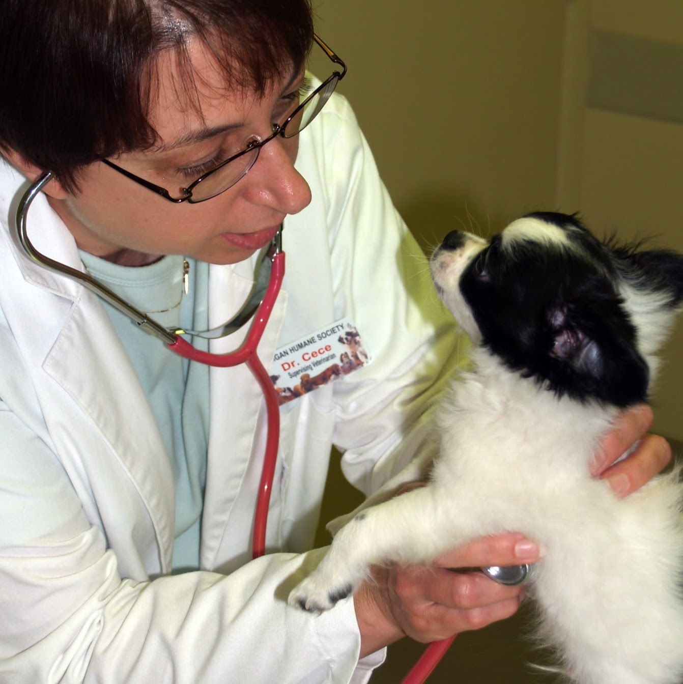 Michigan Humane Veterinary Center - Detroit , United States