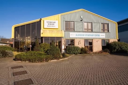 Blenheim Veterinary Centre - Ashbourne , United Kingdom