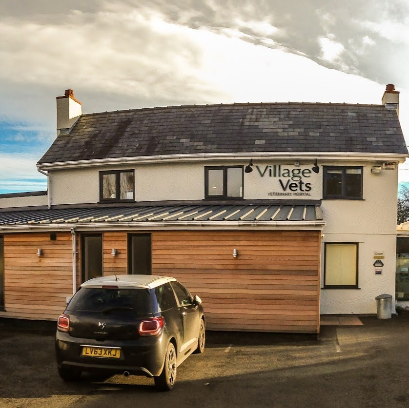 Village Vets Liverpool Road - Buckley , United Kingdom