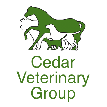 Cedar Vets Four Marks - Alton , United Kingdom