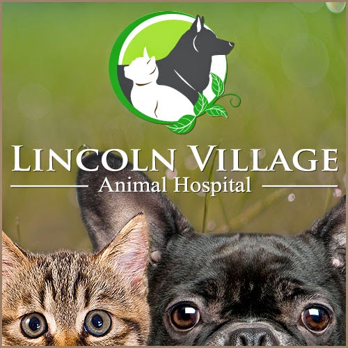 Bridge Street Veterinary Hospital - Waterloo , Canada
