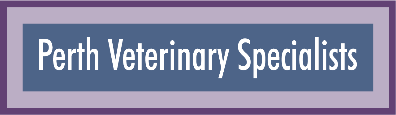 Perth Veterinary Specialists - Osborne Park , Australia