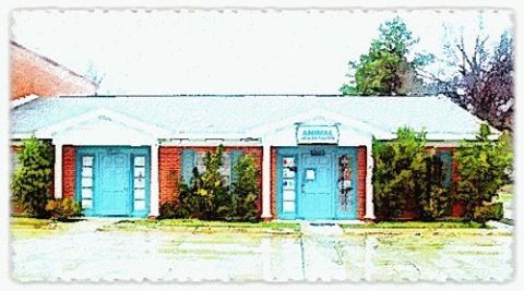 Animal Health Center - Shreveport , United States