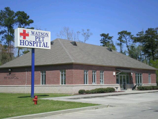 Watson Pet Hospital - Denham Springs , United States