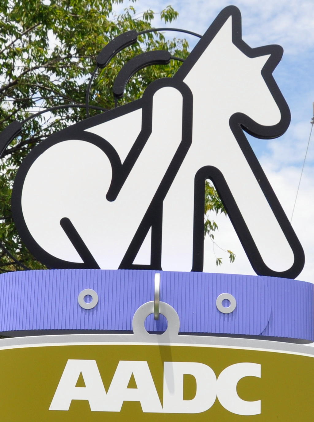 Animal Dermatology Clinic - Austin , United States
