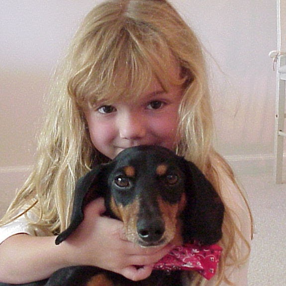 Noah's Ark Animal Hospital - Danbury , United States