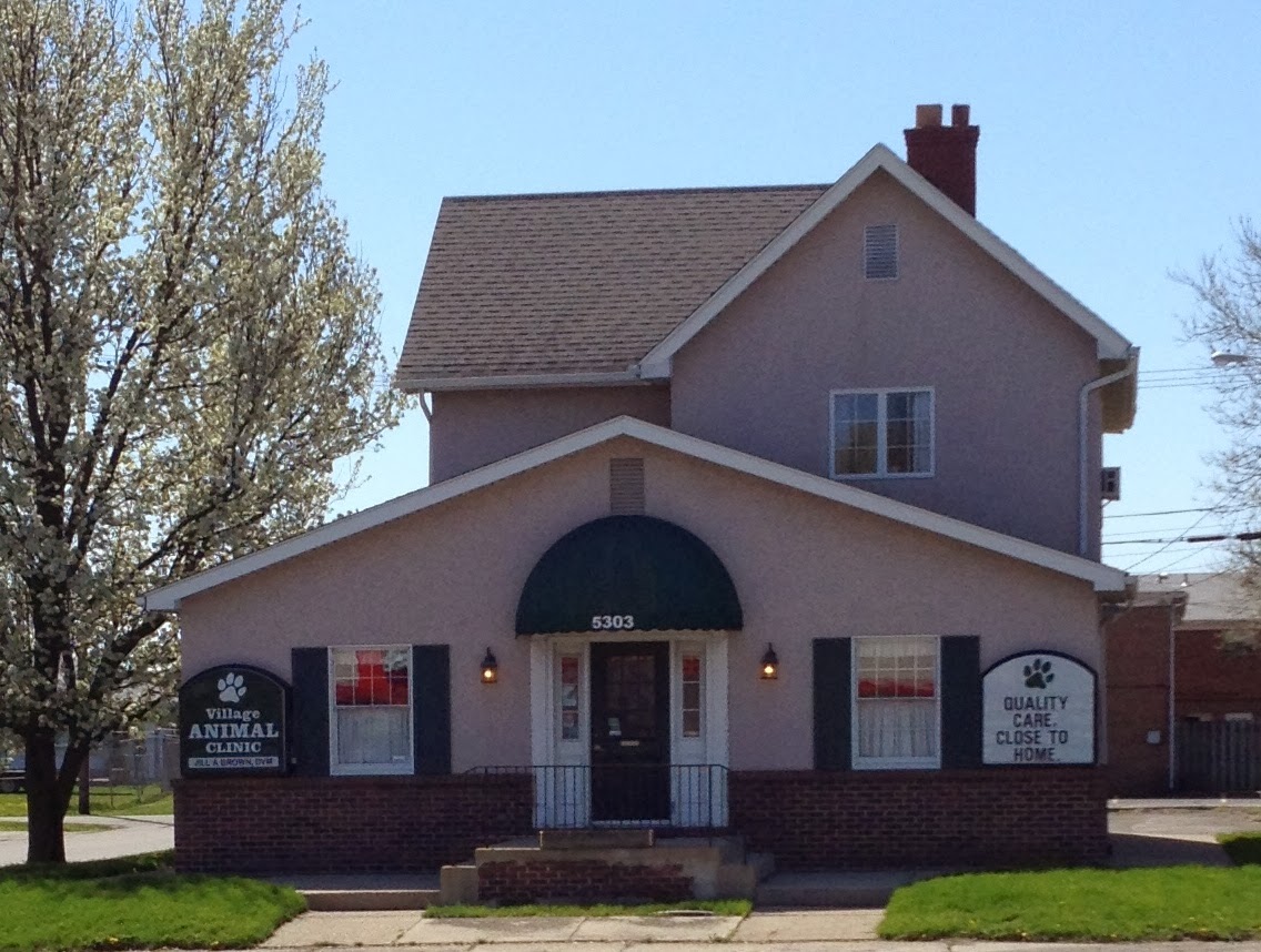 Village Animal Clinic - Columbus , United States