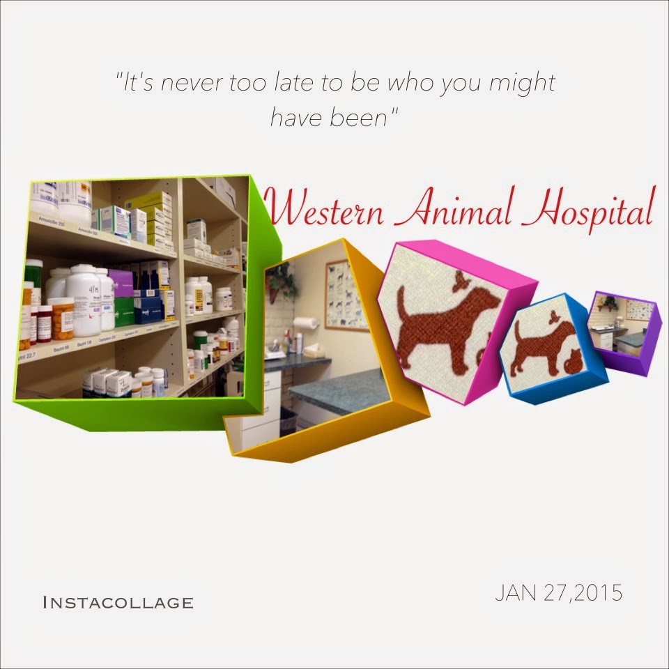 Western Animal Hospital - Glendale , United States