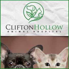 Clifton Hollow Animal Hospital - Poulsbo , United States