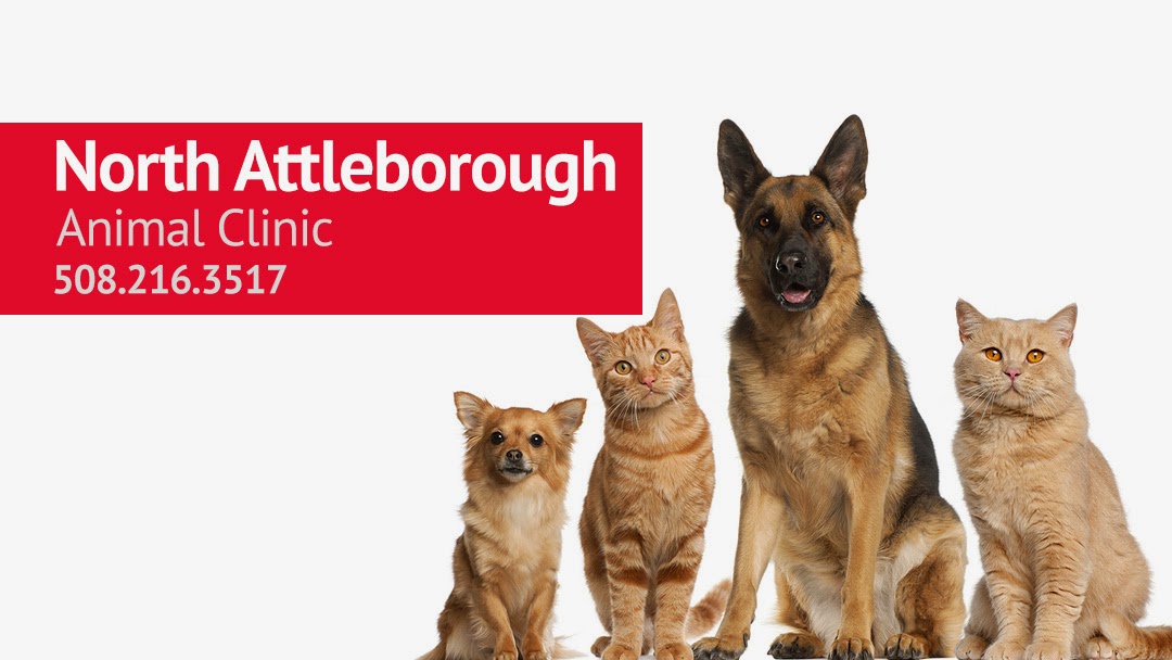 North Attleborough Animal Clinic - North Attleborough , United States