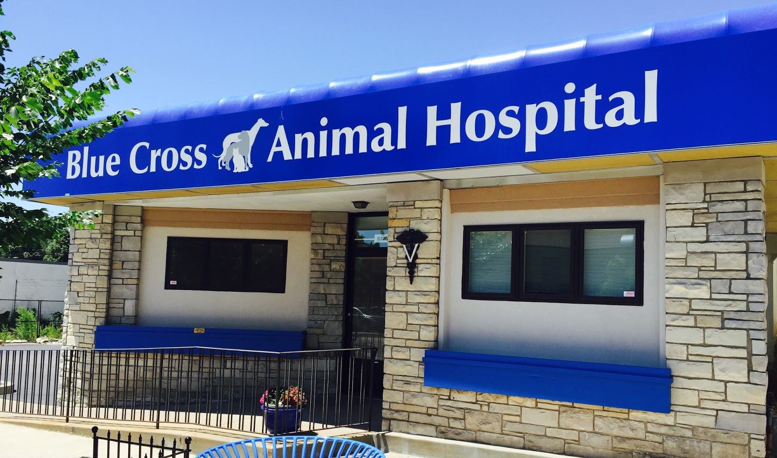 Blue Cross Animal Hospital - Minneapolis , United States