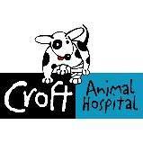 Croft Animal Hospital - Groot Brakrivier , South Africa