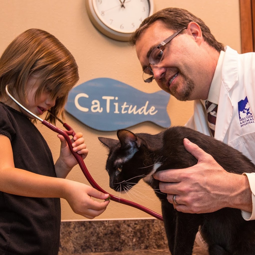 Hillside Animal Hospital - Scottsdale , United States