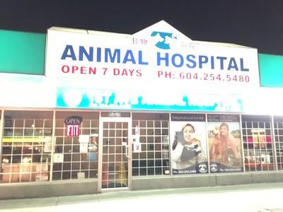 Business's Photo
