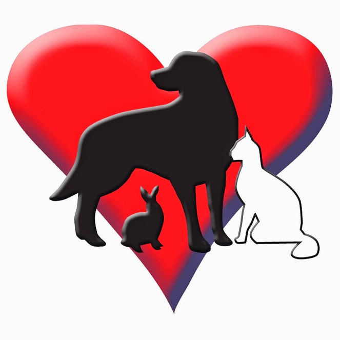 Animal Medical Center Of Gahanna - Gahanna , United States