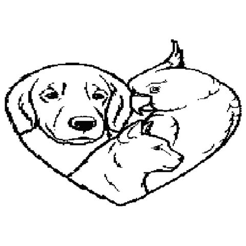 Bandera Road Animal Hospital - San Antonio , United States