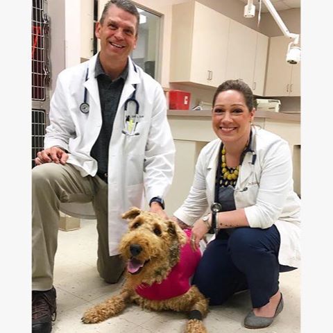 Smiths Station Animal Hospital - Smiths Station , United States