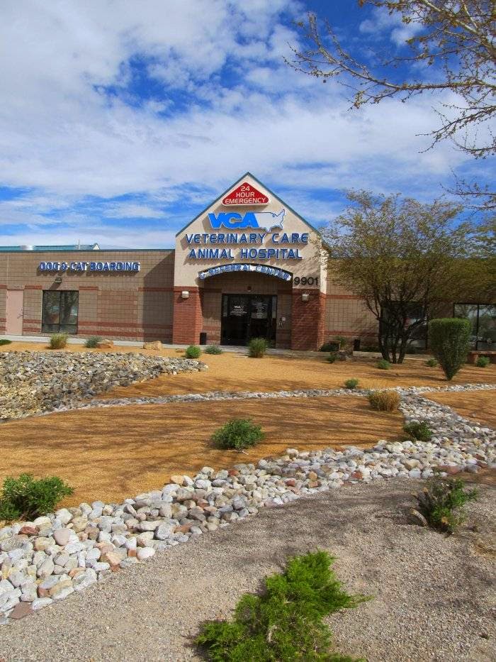 Vca Veterinary Care Animal Hospital And Referral Center - Albuquerque , United States