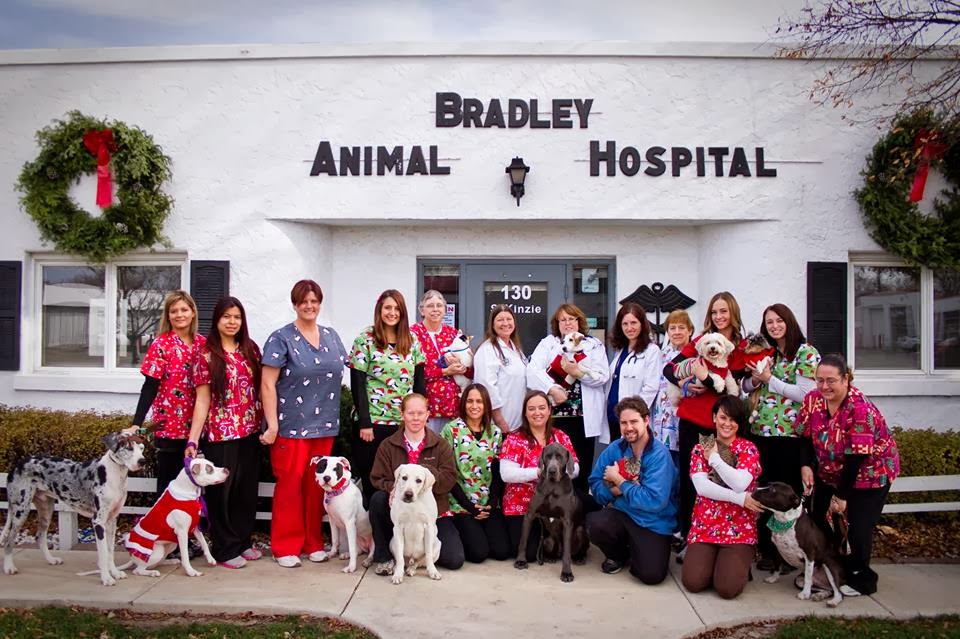 Bradley Animal Hospital - Bradley , United States