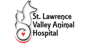 St Lawrence Valley Animal Hospital - Cornwall , Canada
