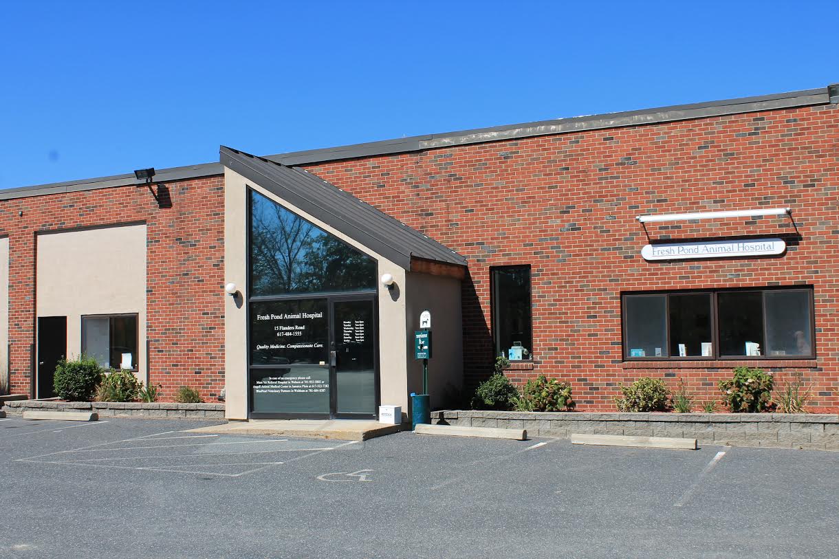 Fresh Pond Animal Hospital - Belmont , United States