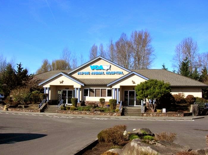Alpine Animal Hospital A Thrive Pet Healthcare Partner - Issaquah , United States