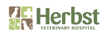 Herbst Veterinary Hospital - Boerne , United States