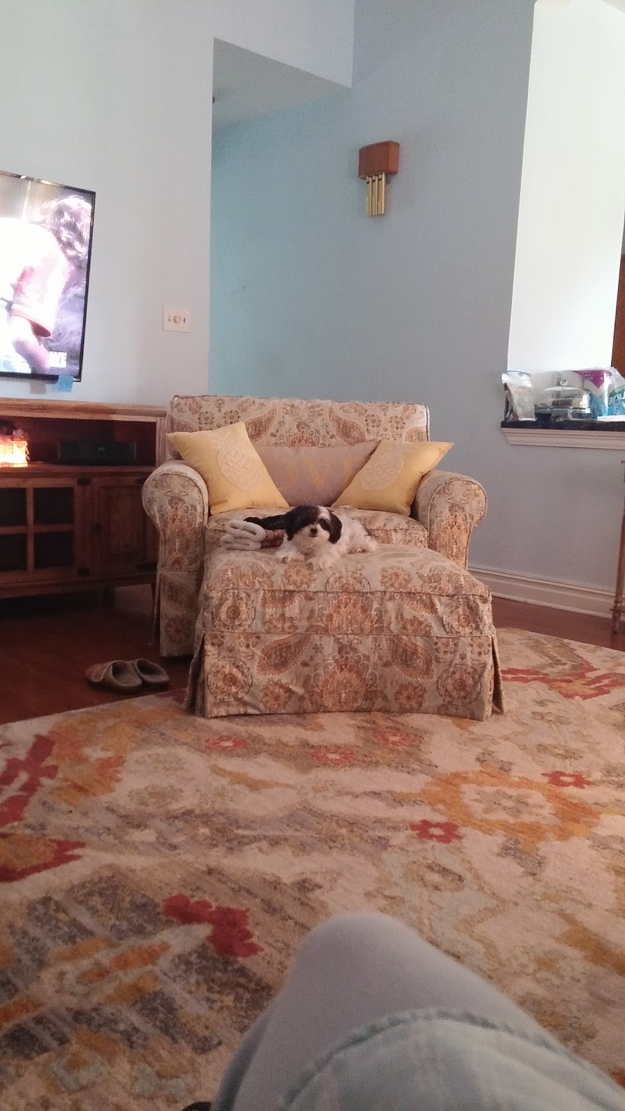 Acadian Veterinary Clinic - Slidell , United States