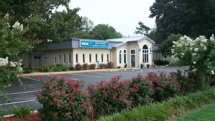 Vca Boulevard Animal Hospital - Newport News , United States