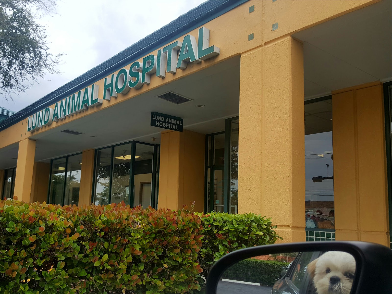 Lund Animal Hospital - Boca Raton , United States