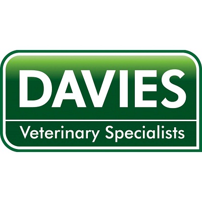 Davies Veterinary Specialists - Hitchin , United Kingdom