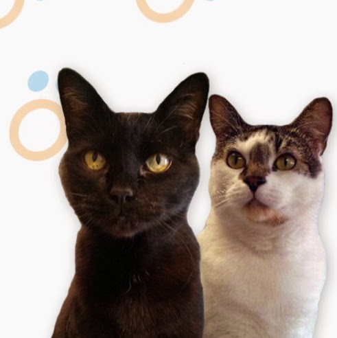 Alta Vista Animal Hospital - Vancouver , Canada