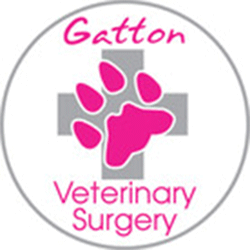 Gatton Veterinary Surgery - Gatton , Australia