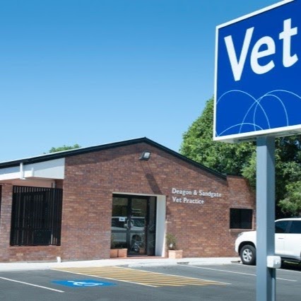 Deagon And Sandgate Veterinary Practice - Deagon , Australia