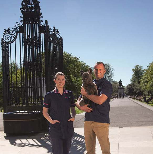 Vets4Pets Dunfermline - Dunfermline , United Kingdom
